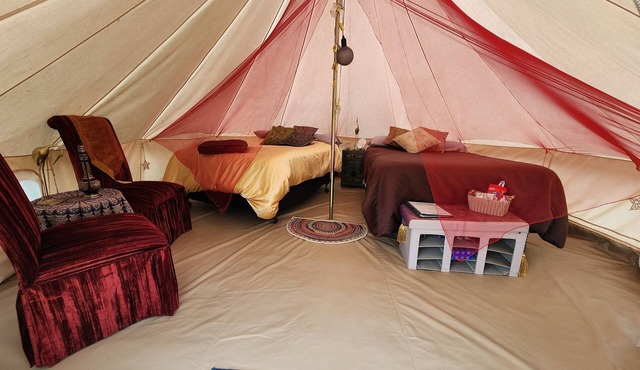 #Y7 Whole New World -2 Dbl beds- No pets please in Drumheller