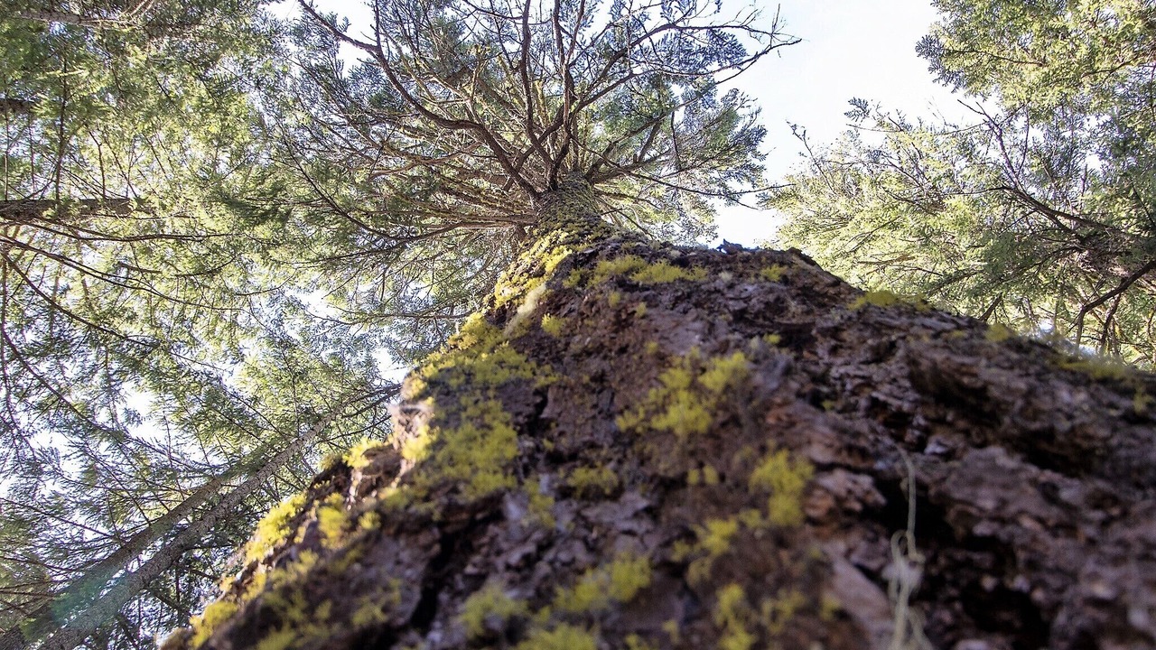 Photo of Outdoor in Klamath Falls