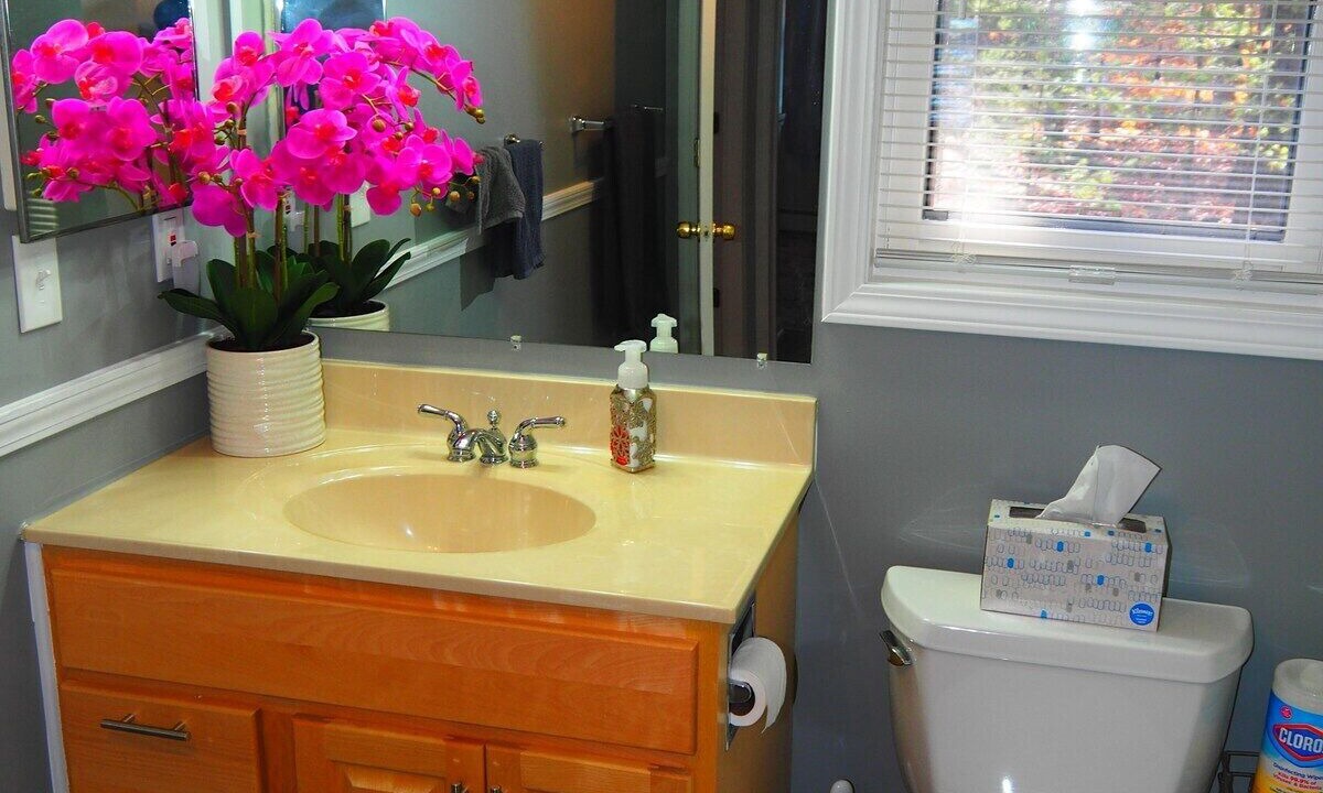 Photo of Bathroom in Mancelona