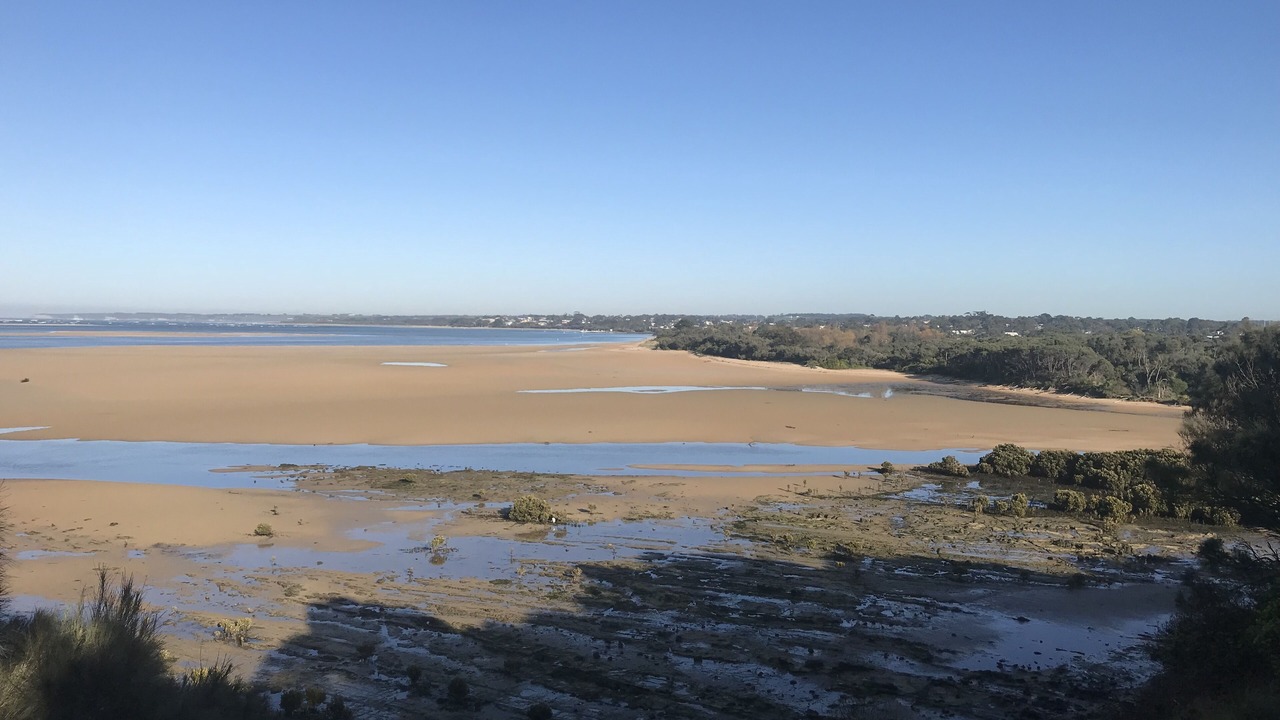 Photo of Others in Inverloch