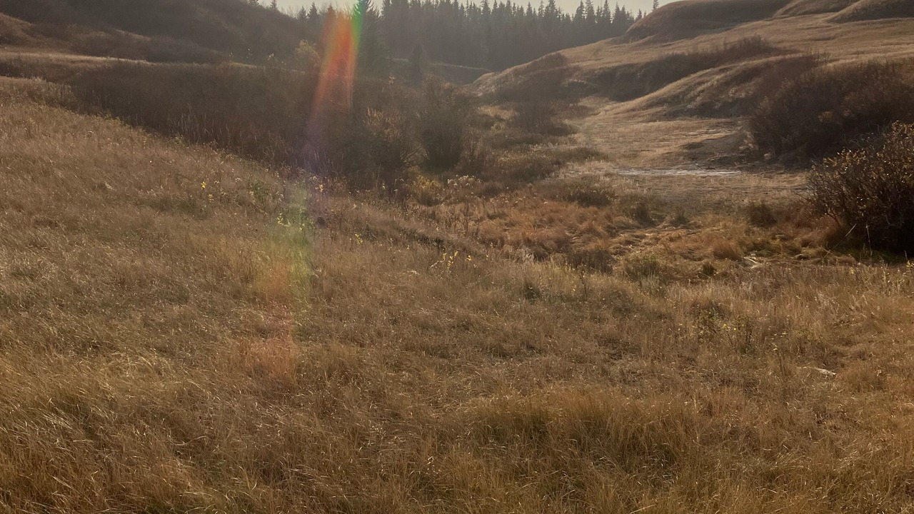 Photo of Outdoor in Division No. 7