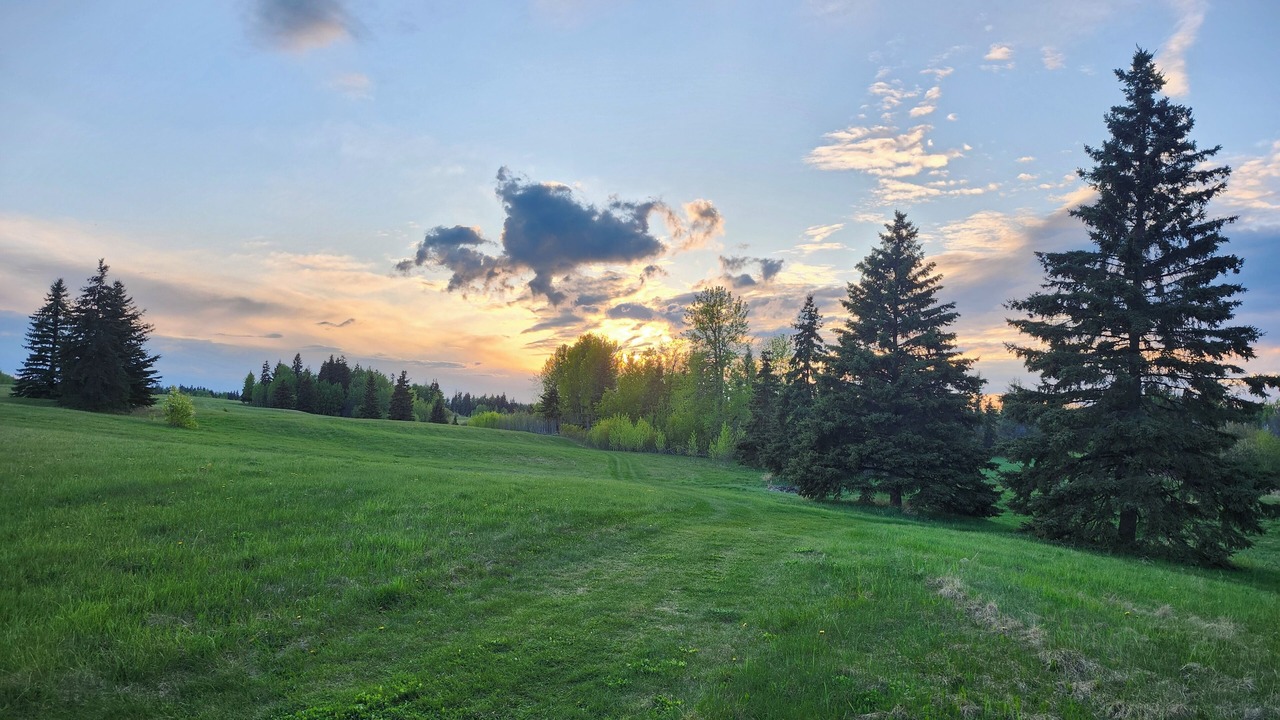Photo of Others in Parkland County