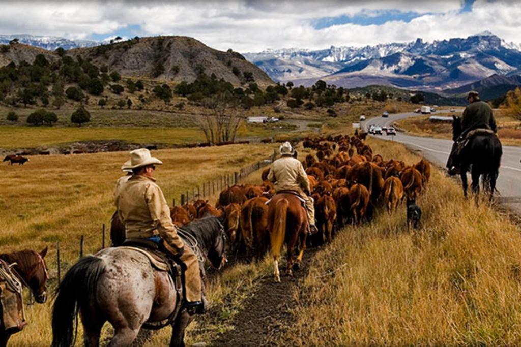Photo of Others in Ridgway