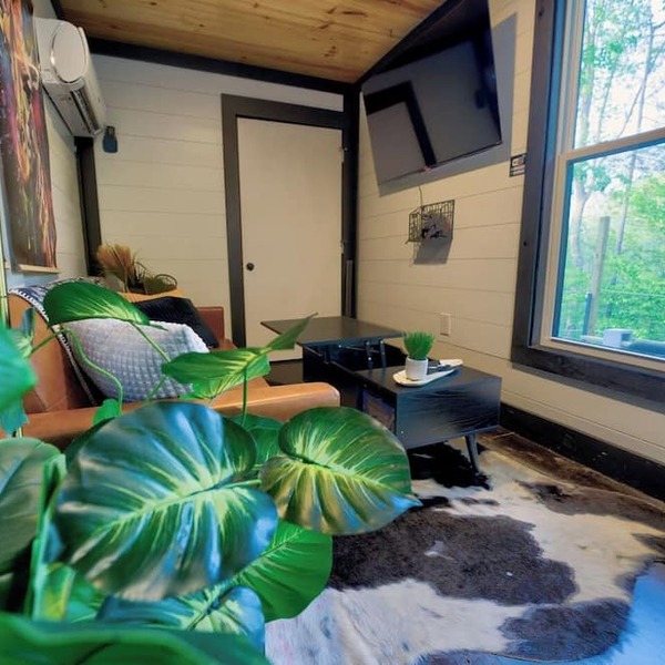 Lion Den Cabin A at Walterfalls-Upstate SC in Six Mile