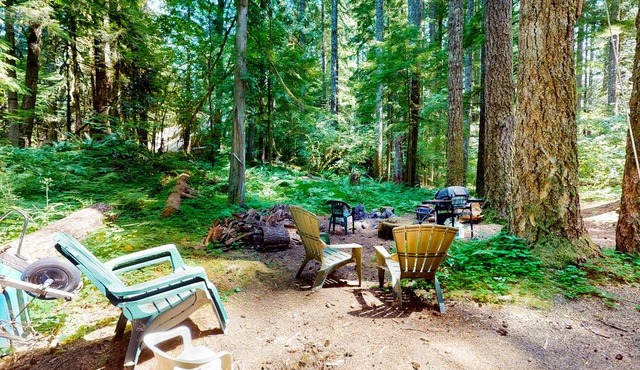 Hilda’s Briarwood Escape | A-frame in Rhododendron with fireplaces & forest view in Rhododendron