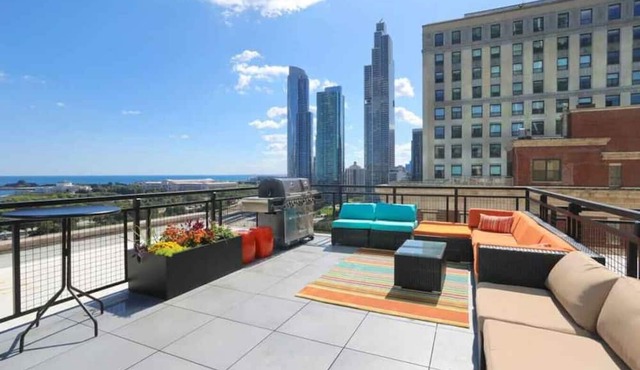 Cozy Downtown MICH AVE #7 | gym+rooftop in Chicago